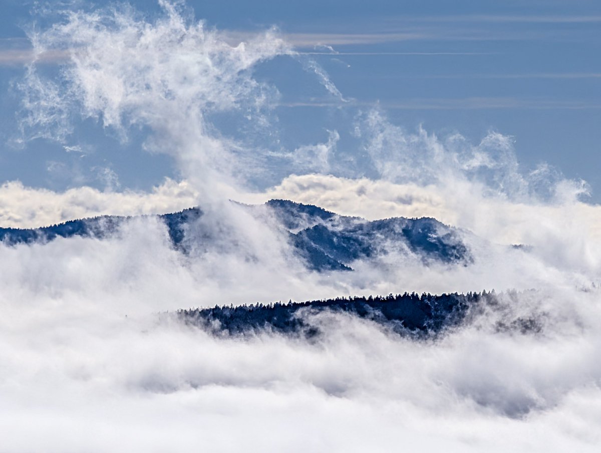 rvandersmith's tweet image. Snowy cloud inversion this morning! #COwx
