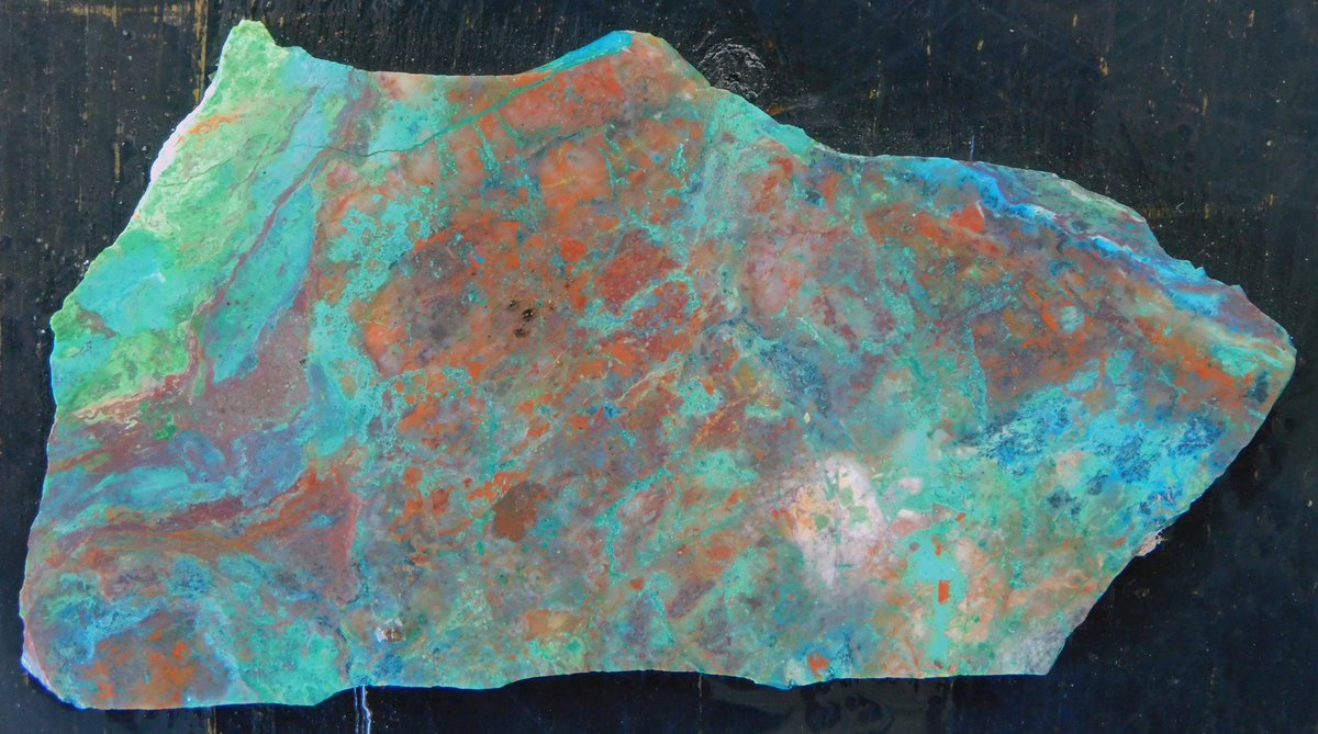 RiverbendLap's tweet image. Parrot Wing Auction Today!
facebook.com/groups/riverbe…

#ParrotWing #chrysocolla #RiverbendLapidary