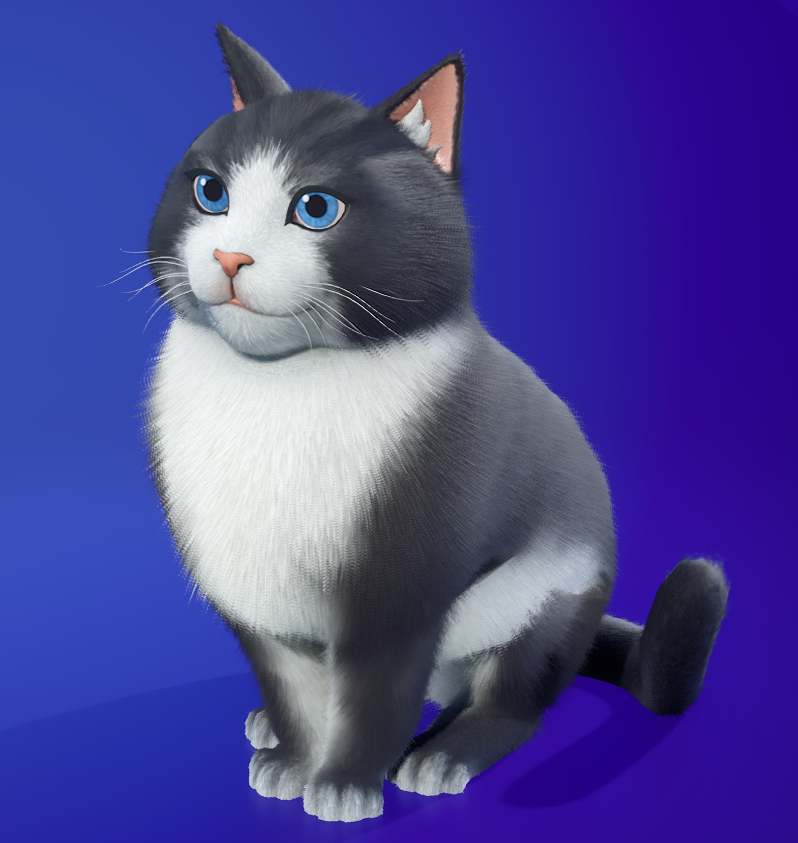 NEW "BEST CAT" SIDEKICK