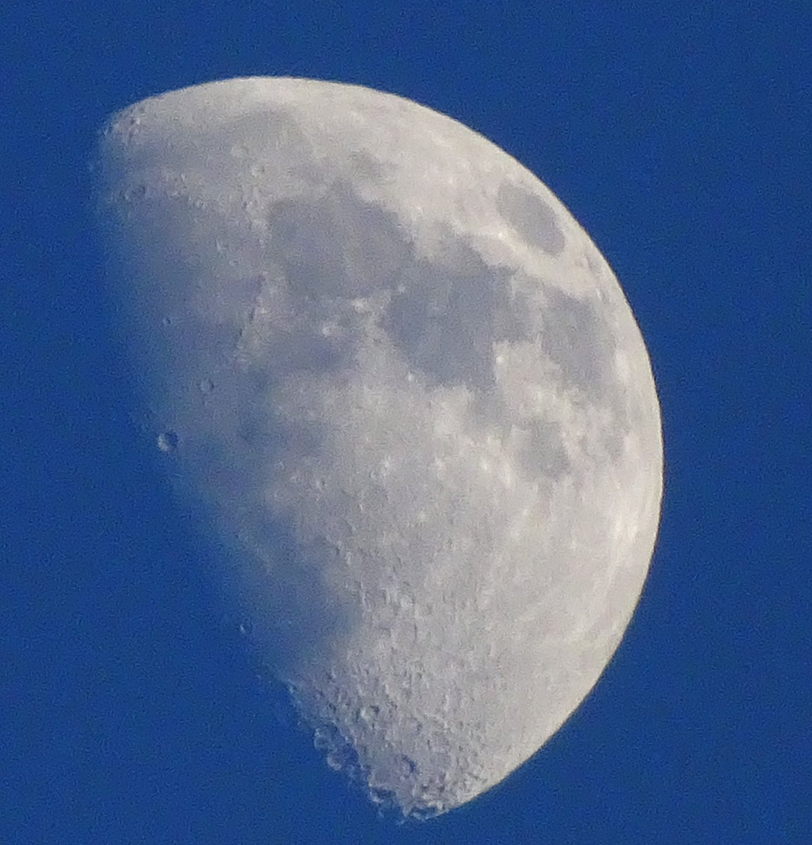 Sue Pleb Leam tweet media