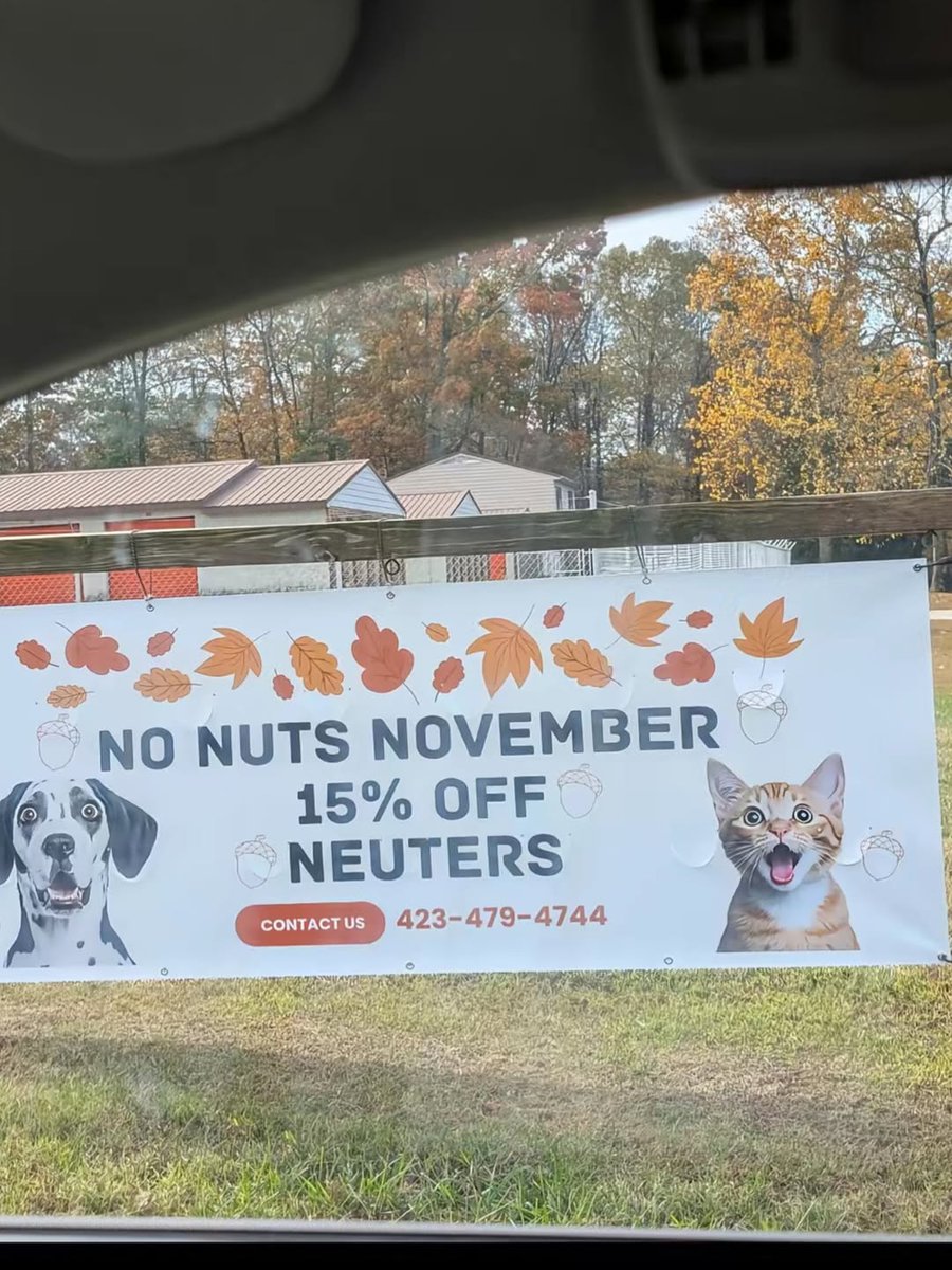 LocalBateman's tweet image. 