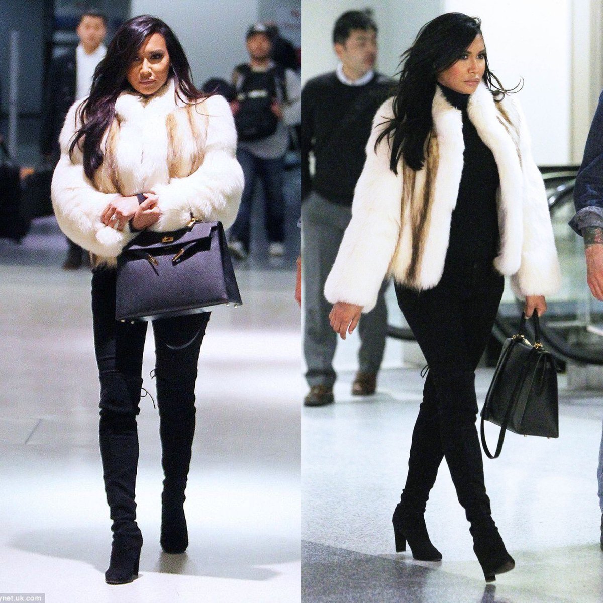 🐆 (@thefillemuse) on Twitter photo 