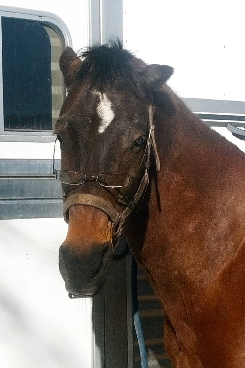 nikisuv's tweet image. @GloriousAllianc 

Here ya go: