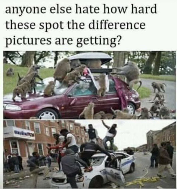 Matt (@Matt04103640981) on X