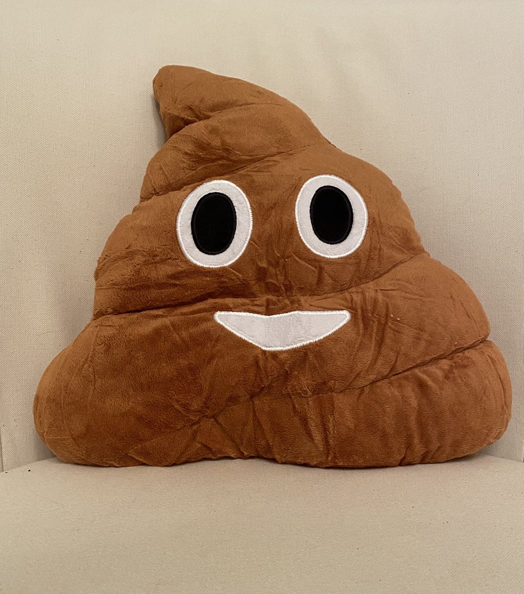erictheborder's tweet image. Going away for couple days soon, to cottage that Eric came with us many times. Lovely dog loving owner, thank goodness, as he 💩 on rug in front of her last time we arrived😬🤣 Bless him, senior fur❤️ Bought her a little present to remember him by🤣 #eric #poopgate #btposse