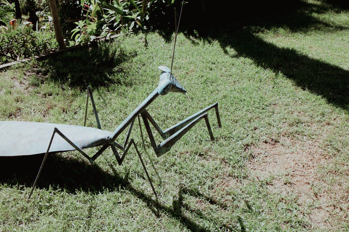 日中戦争 

高市首相の発言を契機として俄然武力行使が現実味を増した日本と中国のあいだの恒圧戦（constant-pressure war）について記事を書きました。

無料です。
誰でも読めます。

open.substack.com/pub/gamayauber…