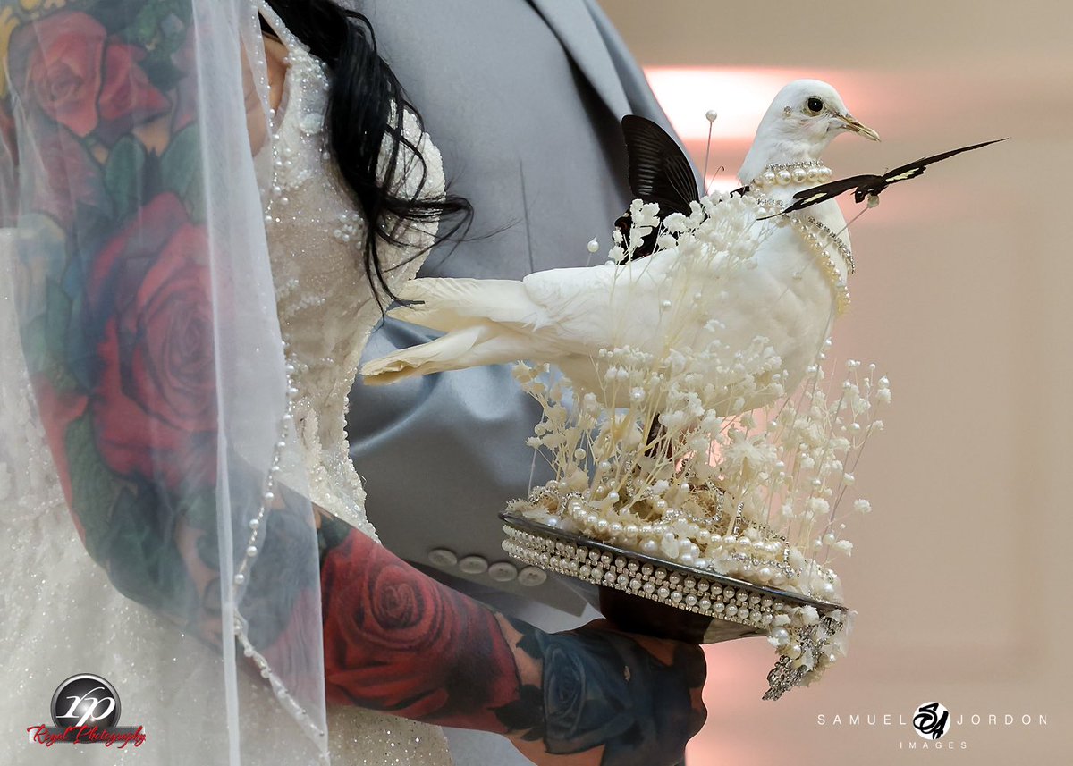 Day 2 Magic at The 1890KC. Two days. One love story. And a celebration that just kept getting better.
From the quiet, intimate moments to the bold, joy-filled energy of the night—Day 2 at the 1890 Event Space in Platte City was pure elegance, emotion, and unforgettable memories.