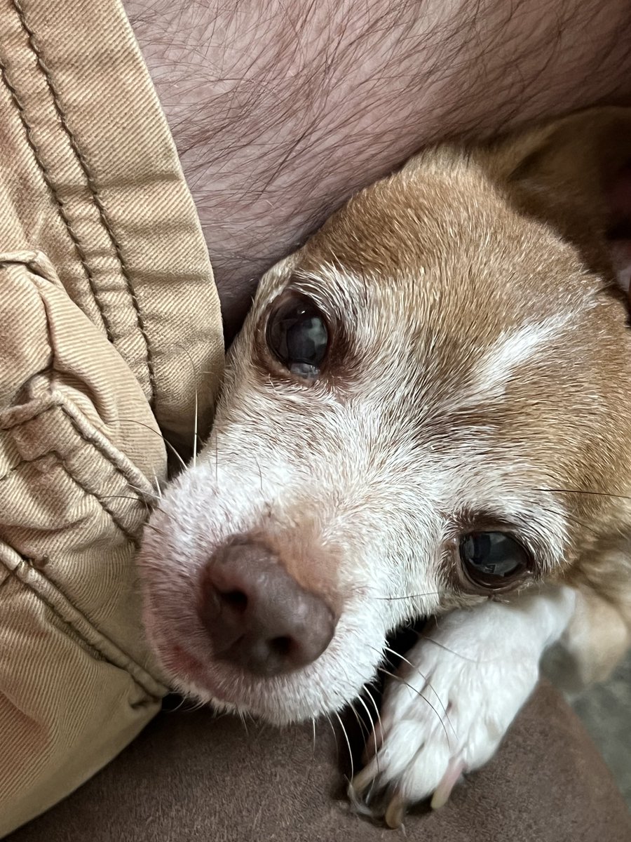 I think somebody is happy to see me…