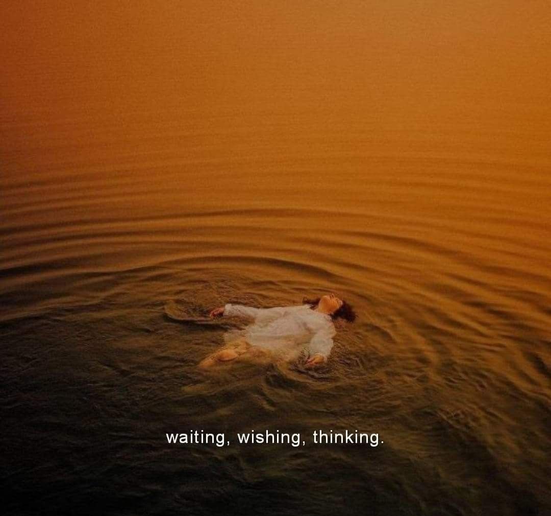 poeticalphotos's tweet image. 