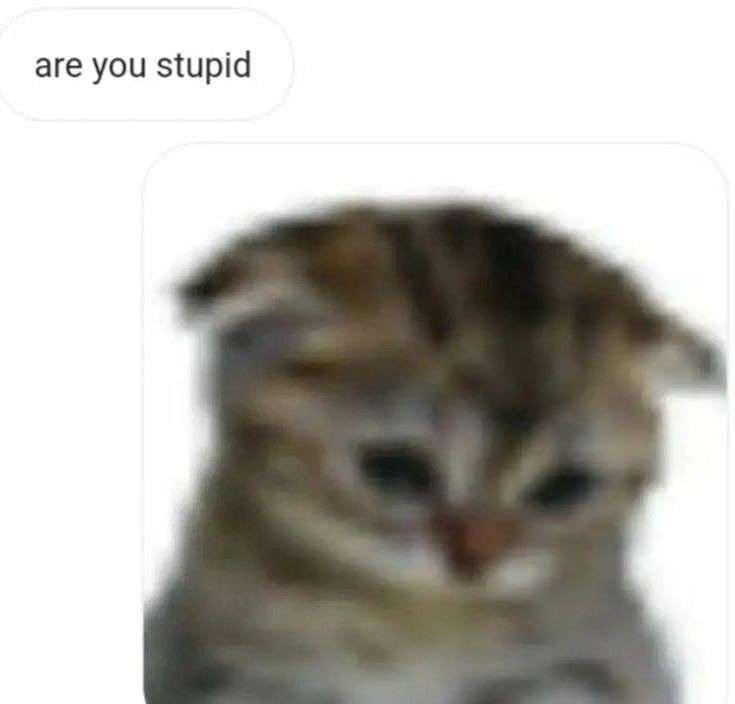 PunchingCat's tweet image. 