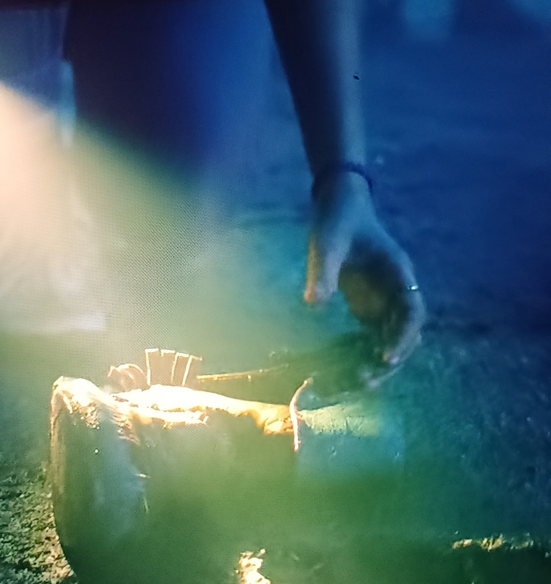 ɯǝ ✪ the zoomer tweet media