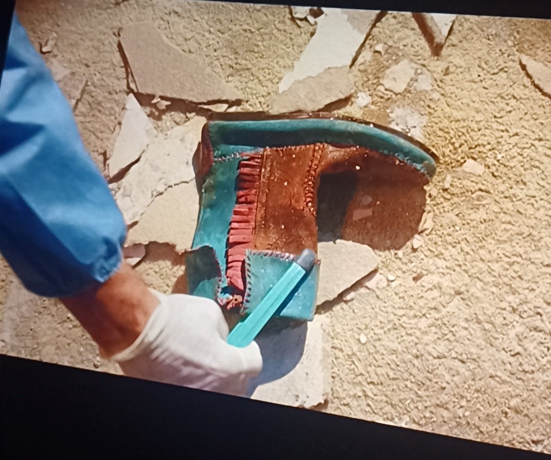 ɯǝ ✪ the zoomer tweet media