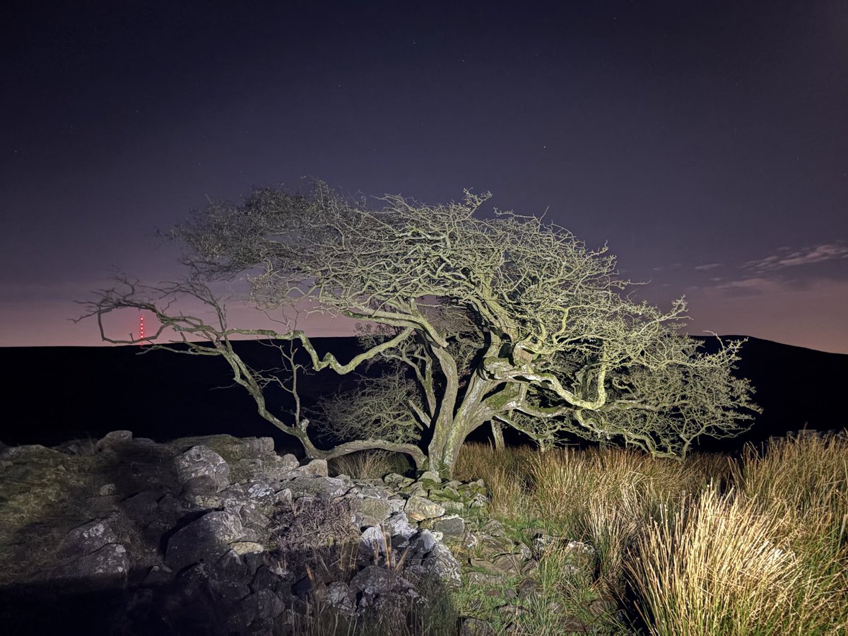 Night time running 🥰🏃‍♀️