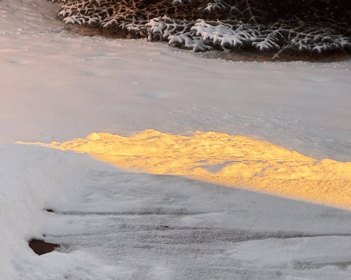 graceongrid's tweet image. This week.