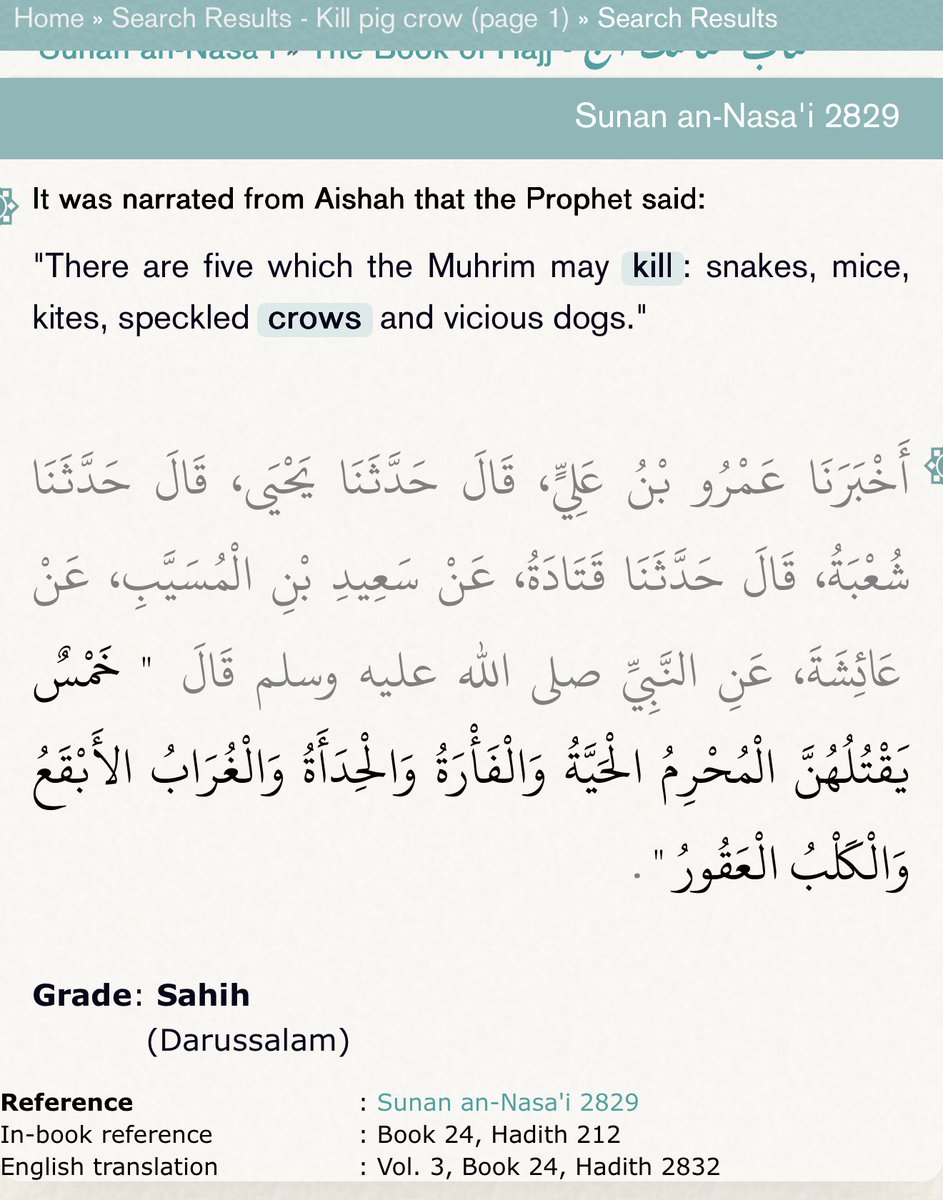 <a href="/7signxx/">Idris</a> The problem with most Muslims is they actually don’t know their own religion.

This is what their prophet said about crows