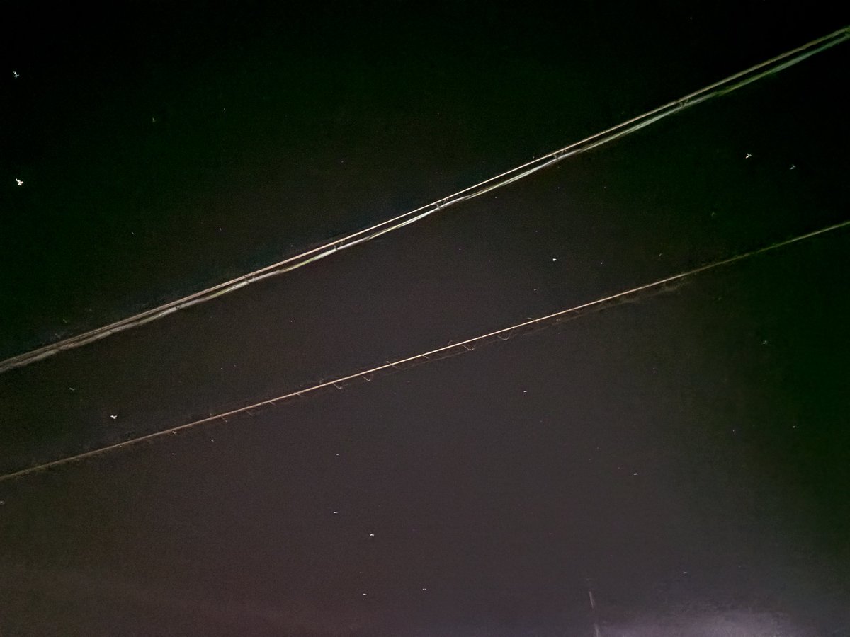 星夜様ご確認ページ おはようございます☀ めちゃくちゃ寒い🥶🥶🥶 昨日くらいから朝ヤバい