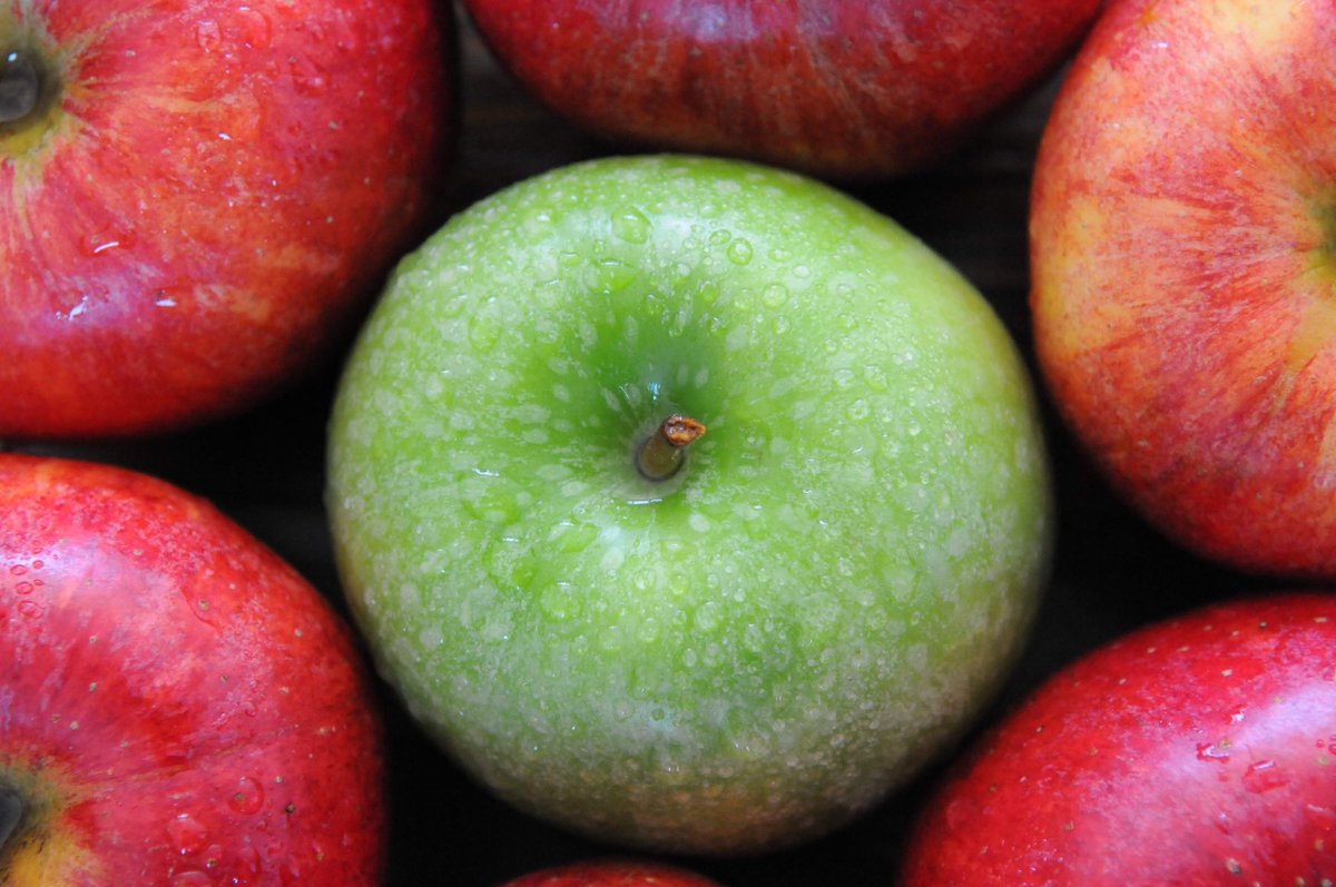 vanessa_c_clark's tweet image. #AlphabetChallenge #WeekVforVowel Apples