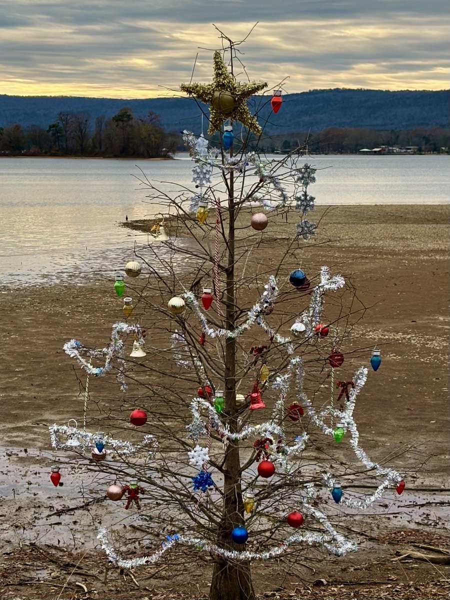 ⁦<a href="/spann/">James Spann</a>⁩ Our “Charlie Brown” Tree at Weiss Lake