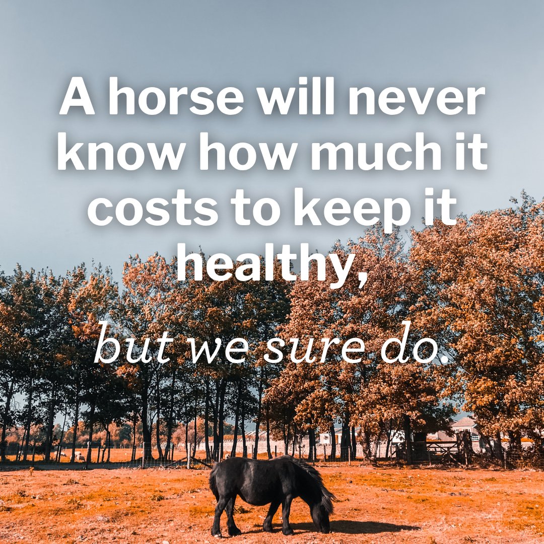Curicynproducts's tweet image. “A horse will never know what it costs to keep it healthy and thriving.”
Thankfully, #Curicyn understands. Trusted over-the-counter wound care supporting animal wellness and reliable care for every stage of life.

#AnimalWellness #TrustedSolutions #EquineCare