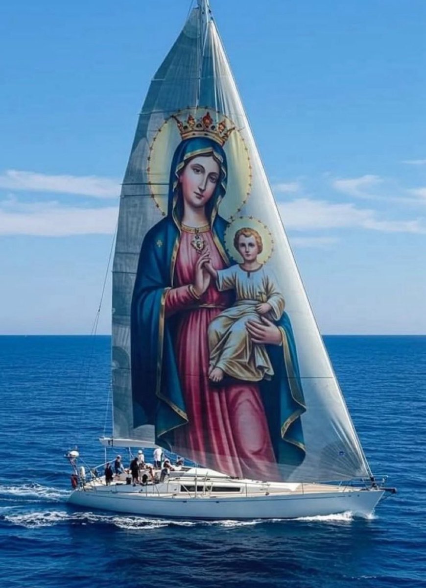 GrainneMcD92925's tweet image. Star of the sea 🕊️