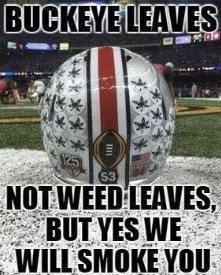 bevfergus's tweet image. Ga❌e Ti❌e!!! #Go Bucks🏈