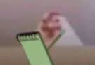 greg the low quality chicken tweet media