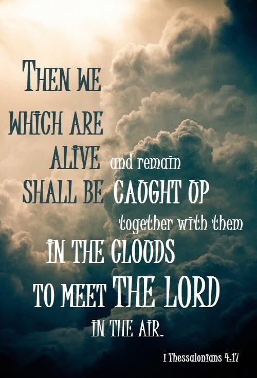 Ready to be caught up?! 🕊️