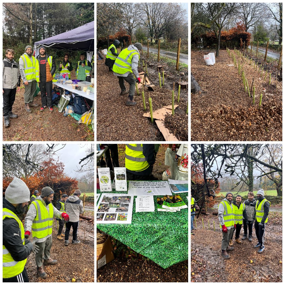 Tree Planting in Sheffield 🌳🍃

Twelve dedicated volunteers from <a href="/MKASheffield/">AMYA SHEFFIELD</a> and @amyarotherham came together for an incredible tree-planting effort—700 trees planted, over several hours of grit and elbow grease, in a single session

Even with the challenging weather, the team