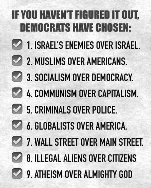 At this point in time, the democrats are basically an anti-anything-America domestic terrorist organization.