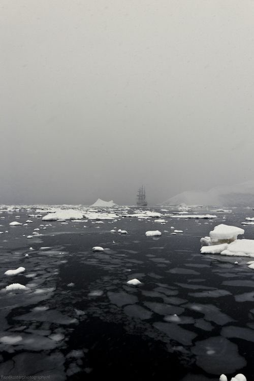 volantleander's tweet image. 