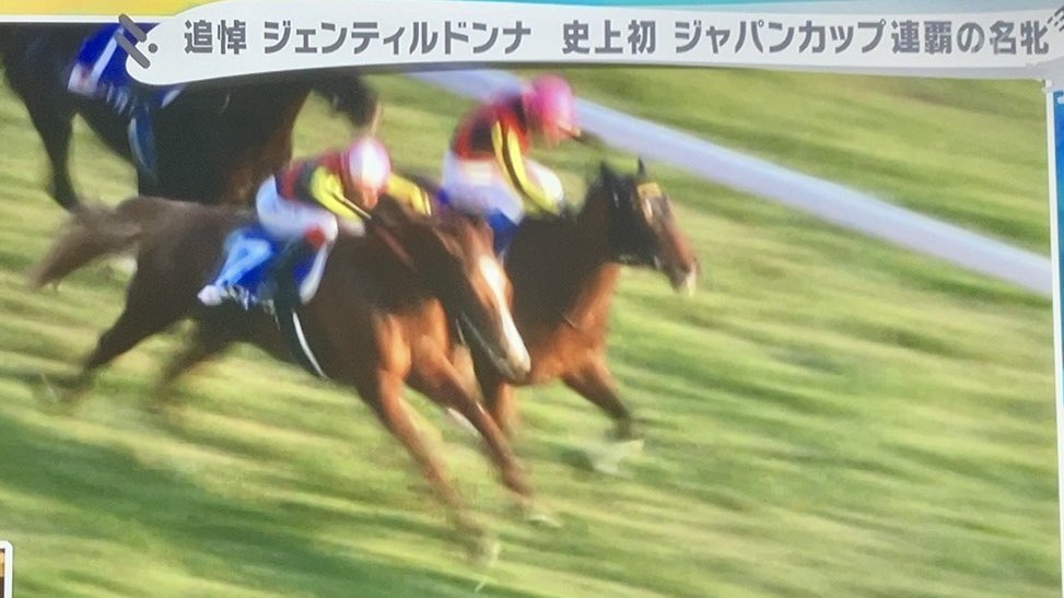 ジャパンカップ みたいな 有数のビッグレースのある週に それでも