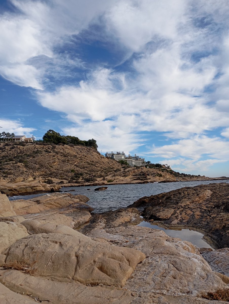 Javier Ci En tweet media