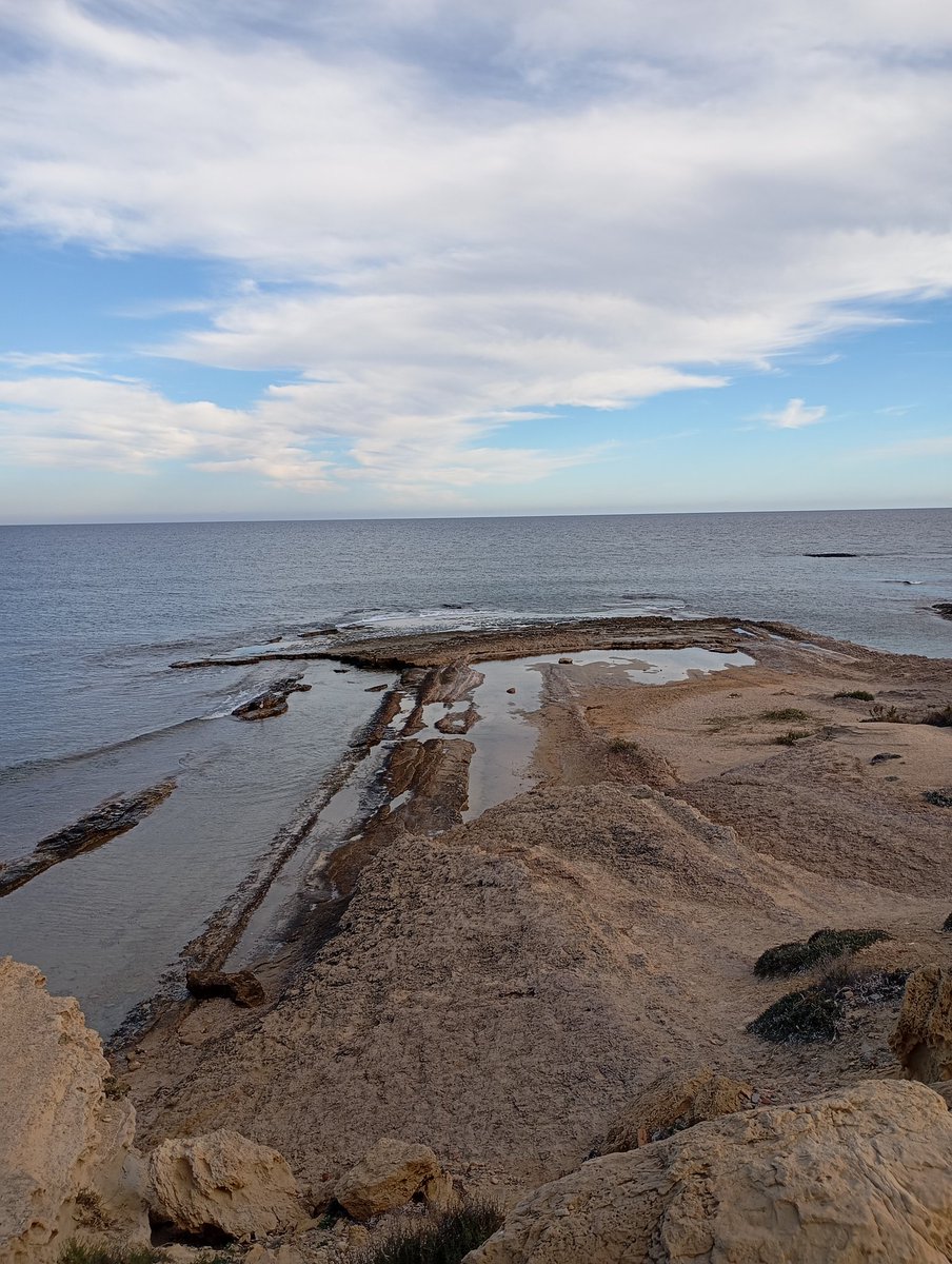 Javier Ci En tweet media