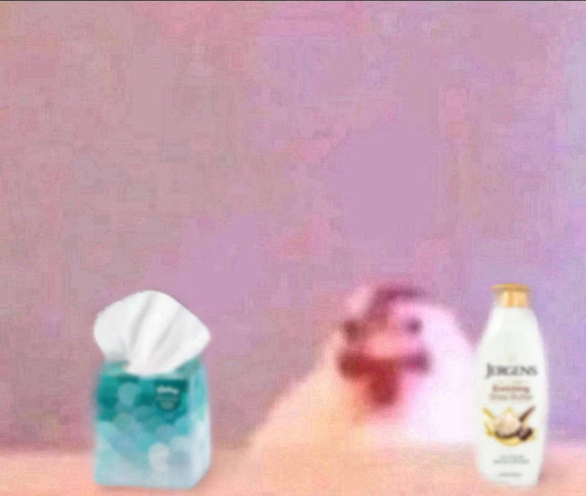 b0nez_dv🇺🇸 tweet media