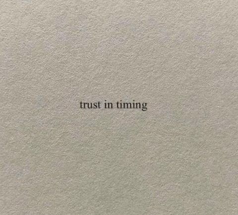 jo🌻 tweet media
