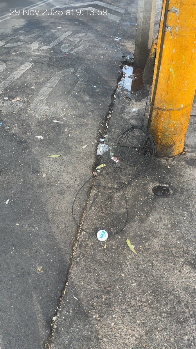 #ParquesPolanco 🌳 tweet media