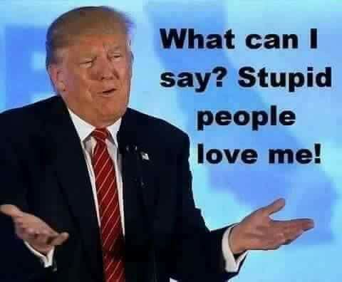 HammyTime2 tweet media