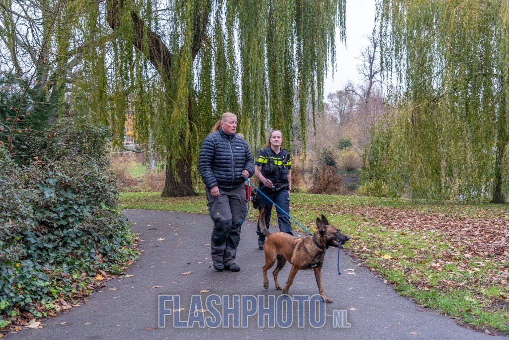 Speurhond ingezet in zoektocht naar vuurwapen
