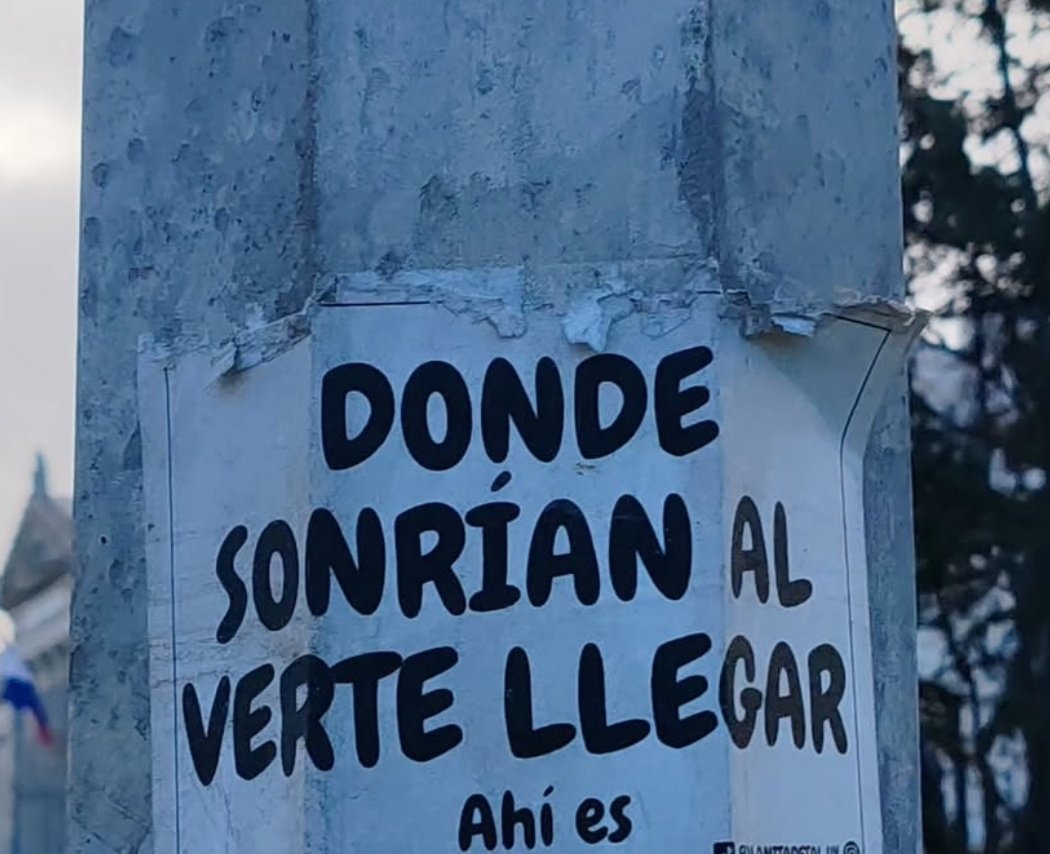 0xidoRock3's tweet image. Repito: