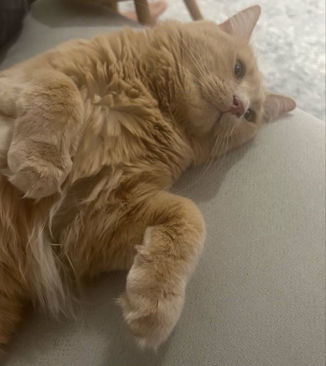 Hayad artık keyif vermio dostlar