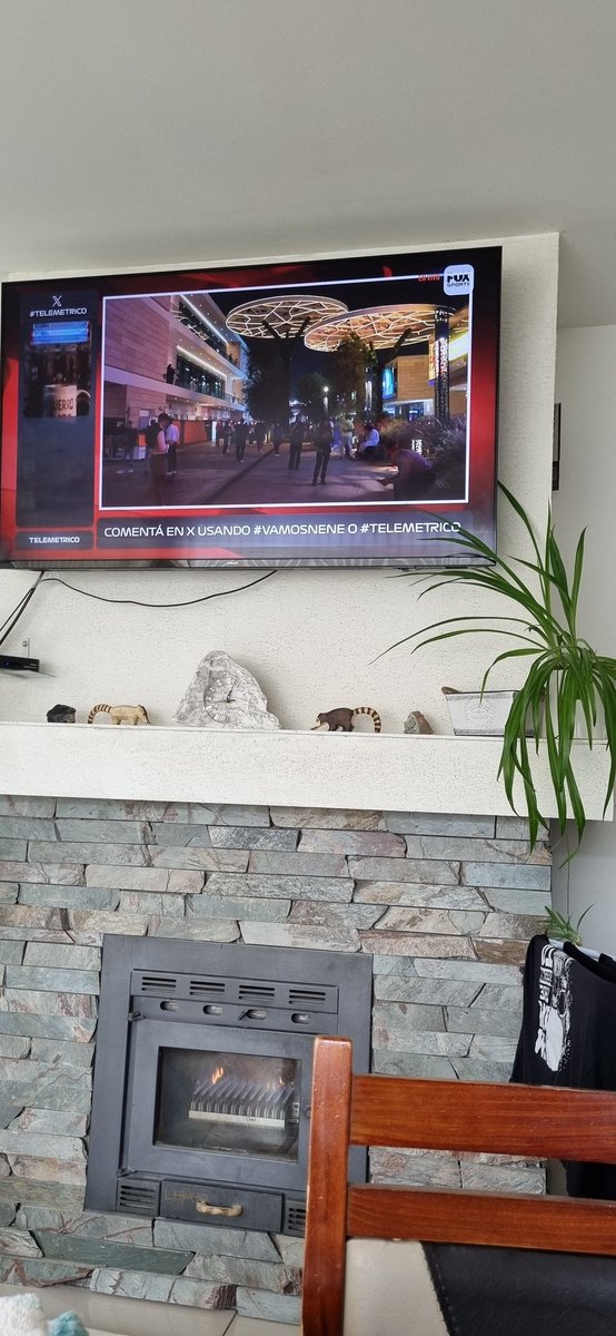 Los robacoches en Argentina tardan menos tiempo en cambiar las ruedas qué los mecanicos de Alpine #vamosnene #telemetrico