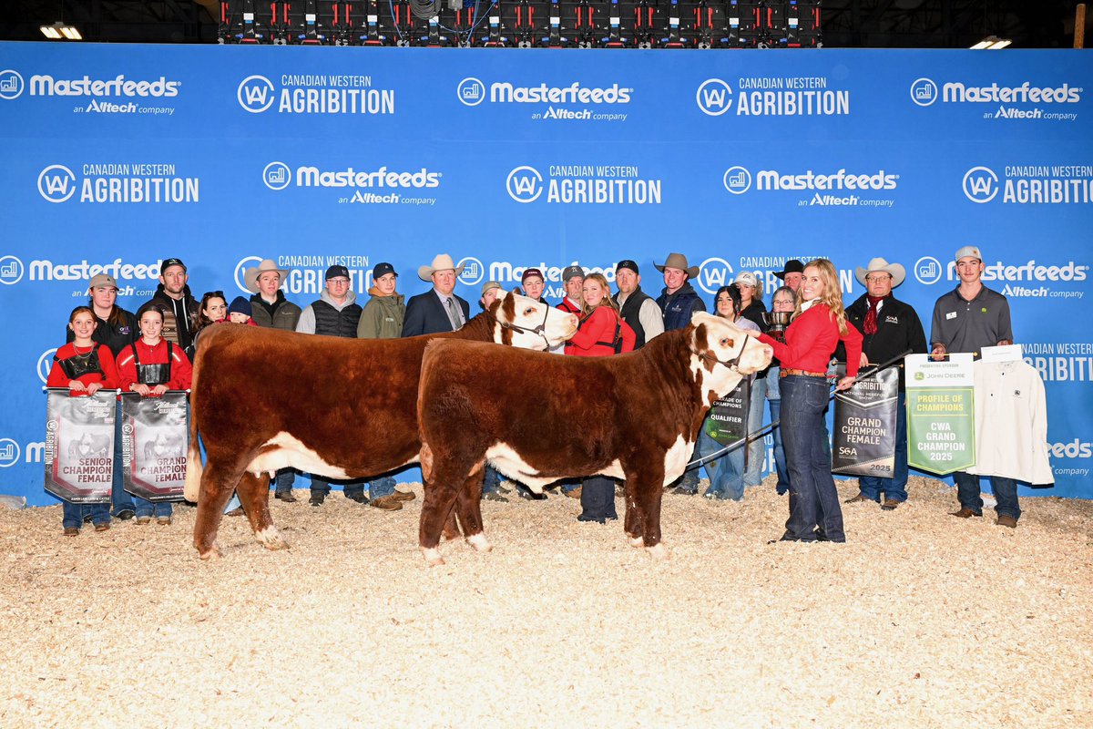 What an amazing day at <a href="/Agribition/">Canadian Western Agribition</a> yesterday. Couldn’t be more proud to this pair and what they’ve done all summer and fall. We have some of the best partners with Harvie Ranching!!! <a href="/CAN_Hereford/">Canadian Hereford</a> #Brendaleacres #Rykersfirstbackdrop