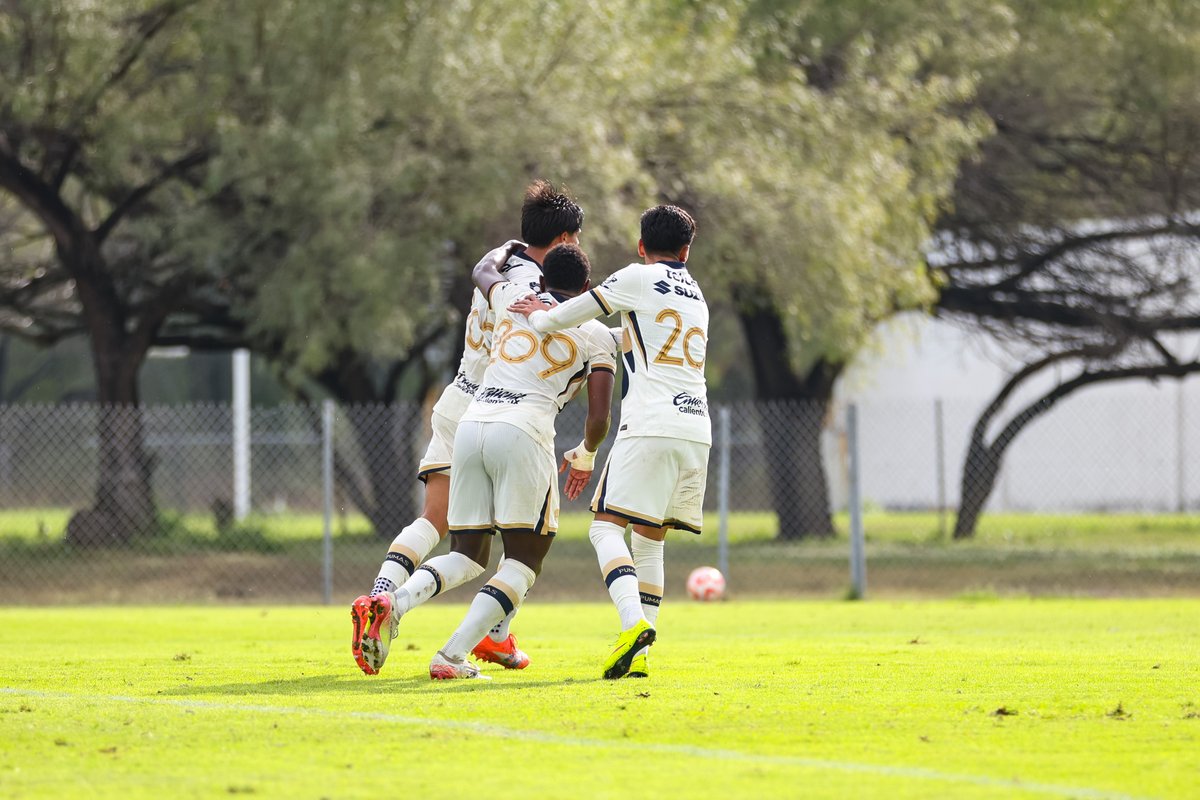 #Sub21 | 🏆 ¡𝑬𝑺𝑻𝑨𝑴𝑶𝑺 𝑬𝑵 𝑳𝑨 𝑭𝑰𝑵𝑨𝑳! 🥳🎉

Tigres 🐯(2) 0 - 2 (3) 🐾 Pumas

#UnidosPorLaHistoria
