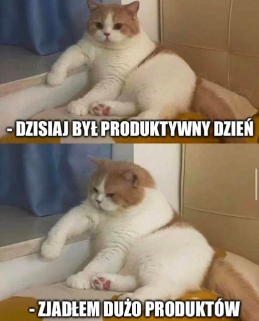 Pora na fajrant. Trzeba coś zjeść 🥳🥳