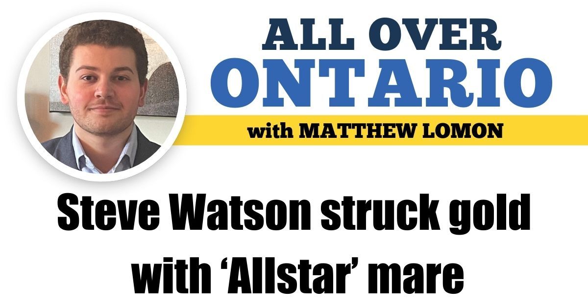 • @MatthewLomon: Steve Watson struck gold with ‘Allstar’ mare 
buff.ly/grRs3Tj 

... Subscribe to HRU - for free - today at buff.ly/2JEfULa