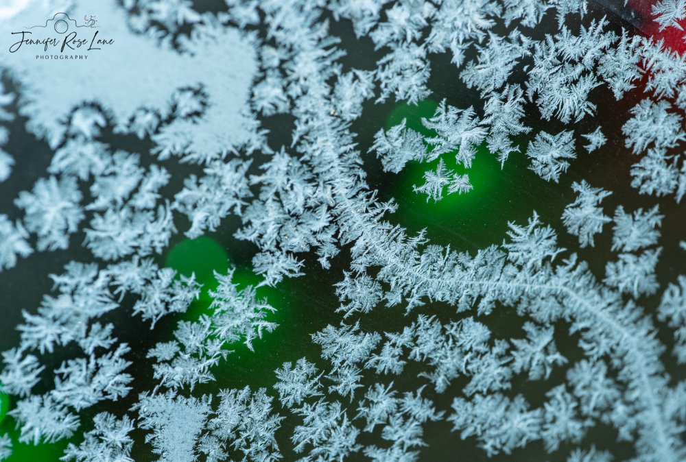 Jens_Starry_Sky's tweet image. It was a frosty, beautiful morning 😍 #Brrrrr #frosty #weather #WVweather @StormHour @ThePhotoHour @MacroHour @SpencerWeather @WSAZBrandon @GaudetWeather