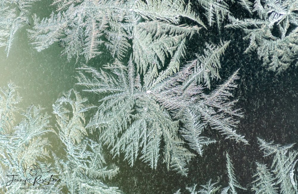 Jens_Starry_Sky's tweet image. It was a frosty, beautiful morning 😍 #Brrrrr #frosty #weather #WVweather @StormHour @ThePhotoHour @MacroHour @SpencerWeather @WSAZBrandon @GaudetWeather