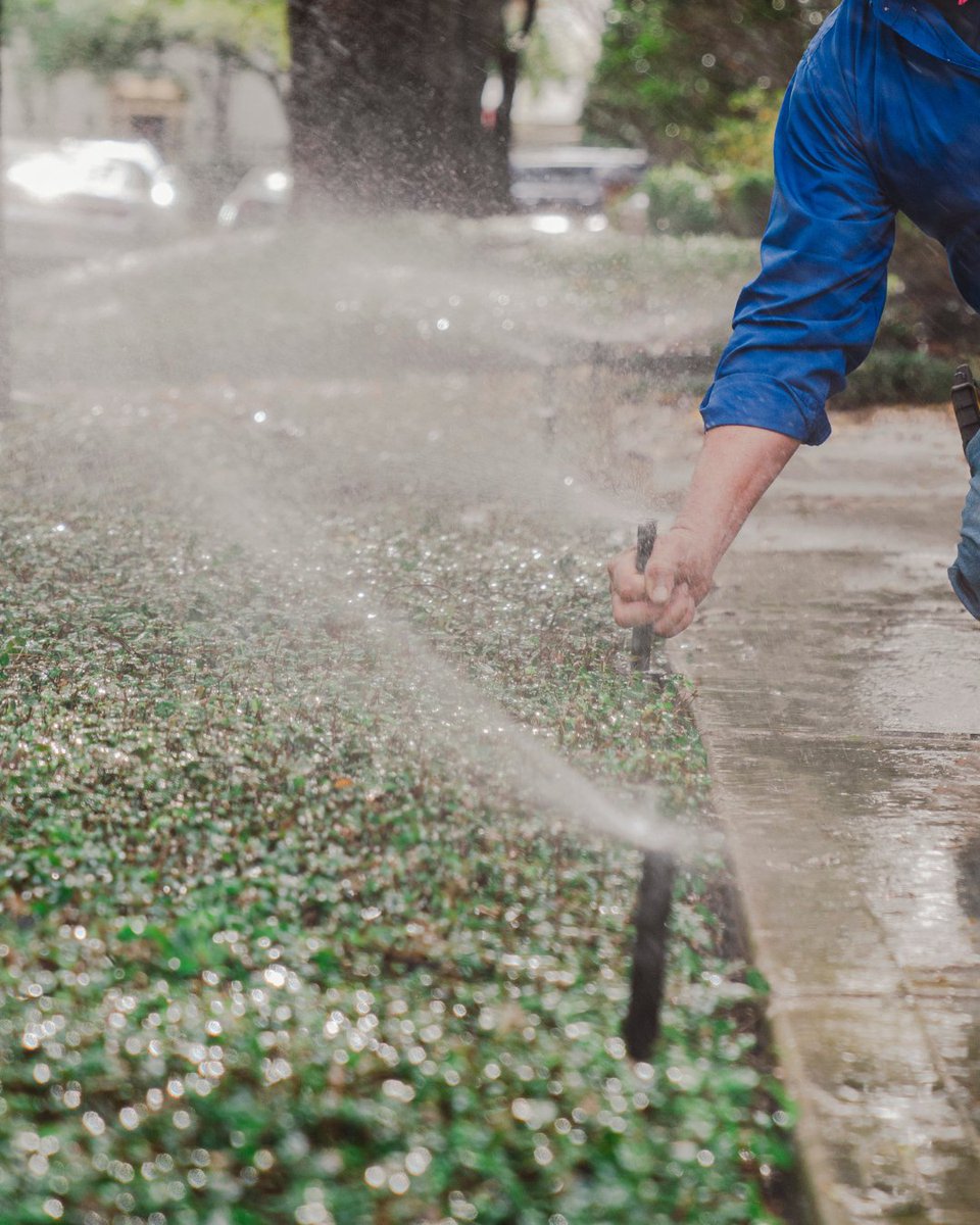 Many property owners cut back irrigation too much in winter. While plants need less water, they still rely on consistent moisture to stay healthy and prep for Houston’s spring growth. Our irrigators can help you adjust your system the right way.

#WinterIrrigation #HTXLandscaping