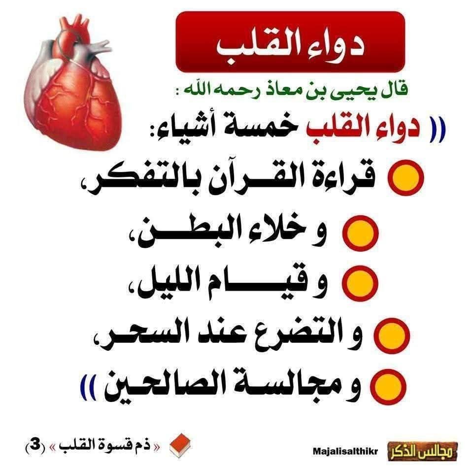 aqwal_ahl_alelm's tweet image. 