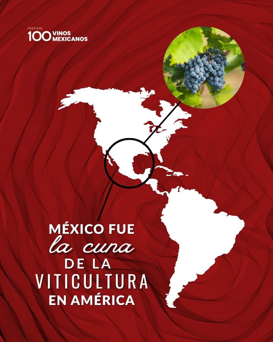 ¡Un dato que nos llena de orgullo! 🇲🇽
MÉXICO FUE LA CUNA DE LA VITICULTURA EN AMÉRICA.
Sí, nuestra tierra fue pionera en la producción de vino en el continente, ¡y esa tradición sigue viva y creciendo!🍇🍷
Acompáñanos a celebrar esta rica historia y el presente vibrante de la